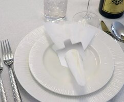 Servetring 'dreidel'